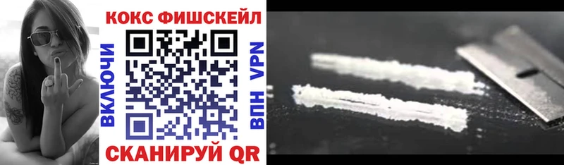 Cocaine FishScale  Купить закладки  Рославль 