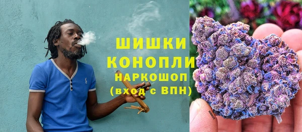 СК Козельск