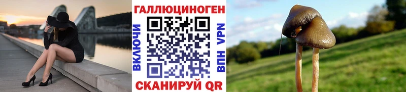 Галлюциногенные грибы Psilocybine cubensis  Купить где  Рославль 